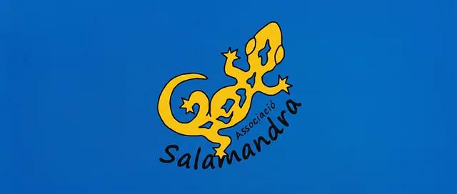 Abierta la matrícula para los talleres Salamandra del curso 2026/2027 en septiembre