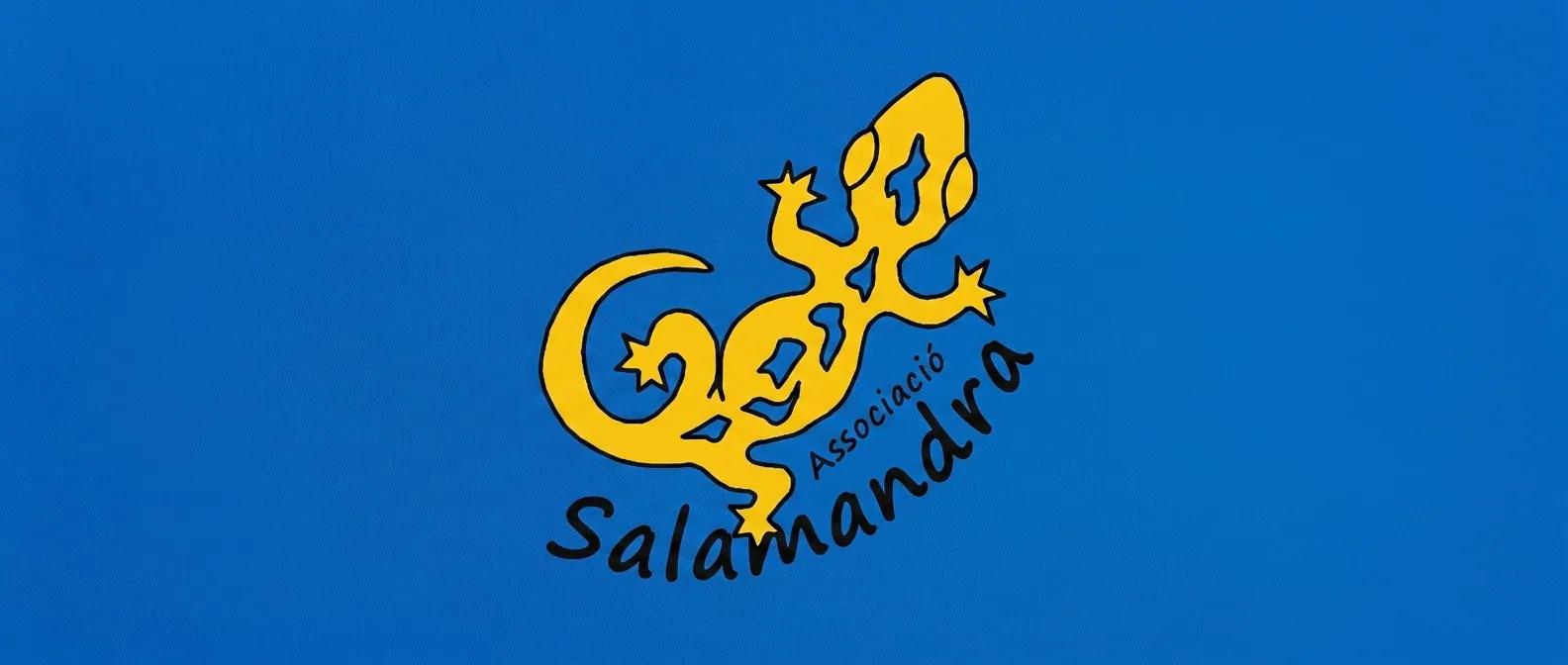 Abierta la matrícula para los talleres Salamandra del curso 2026/2027 en septiembre