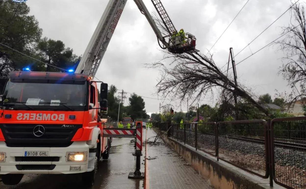 Cortado temporalmente un tramo de la Línea 2 por caída de arbolado