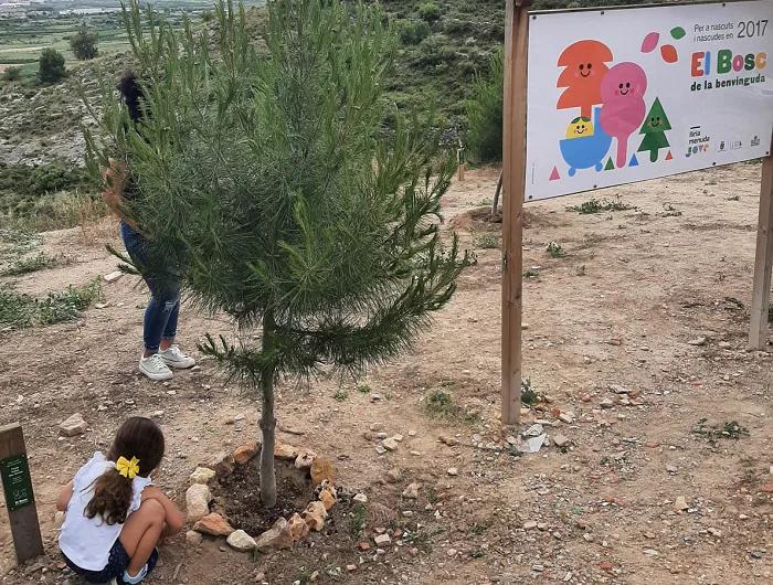 Abiertas las inscripciones para la décima edición del Bosc de la Benvinguda